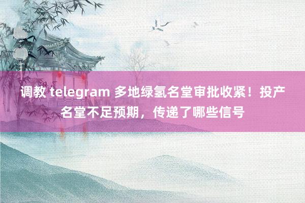 调教 telegram 多地绿氢名堂审批收紧！投产名堂不足预期，传递了哪些信号