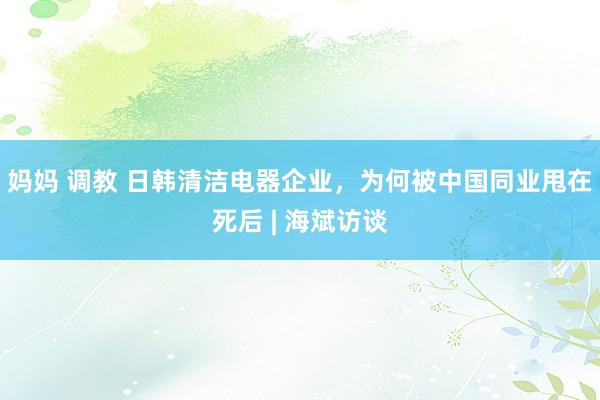 妈妈 调教 日韩清洁电器企业，为何被中国同业甩在死后 | 海斌访谈