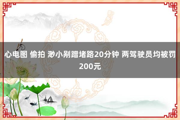 心电图 偷拍 渺小剐蹭堵路20分钟 两驾驶员均被罚200元