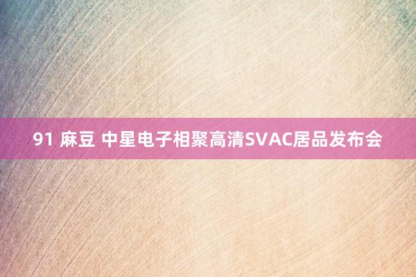 91 麻豆 中星电子相聚高清SVAC居品发布会