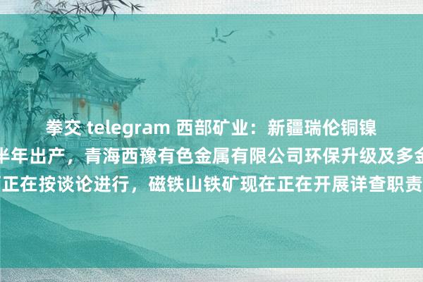 拳交 telegram 西部矿业：新疆瑞伦铜镍矿改扩建技俩瞻望来岁上半年出产，青海西豫有色金属有限公司环保升级及多金属抽象轮回诈骗校正技俩正在按谈论进行，磁铁山铁矿现在正在开展详查职责，它温查汉西铁多金属矿正在礼貌矿区规模，野马泉铁多金属矿正在进一步勘察引诱 | 每经网