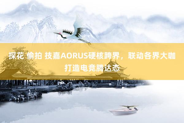 探花 偷拍 技嘉AORUS硬核跨界，联动各界大咖打造电竞腾达态