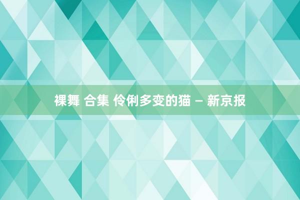 裸舞 合集 伶俐多变的猫 — 新京报