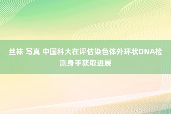 丝袜 写真 中国科大在评估染色体外环状DNA检测身手获取进展