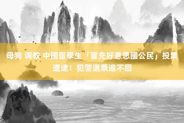 母狗 调教 中國留學生「冒充好意思國公民」投票遭逮！　犯警選票追不回