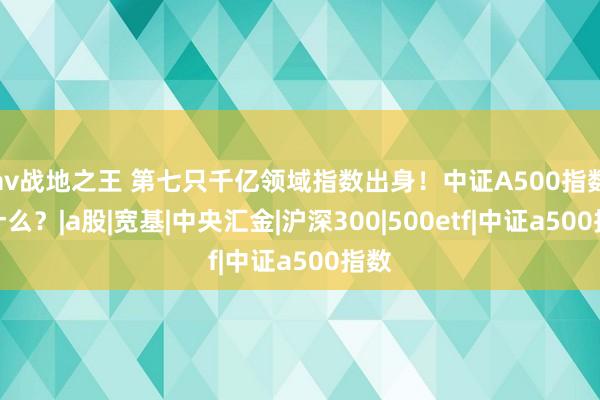 av战地之王 第七只千亿领域指数出身！中证A500指数凭什么？|a股|宽基|中央汇金|沪深300|500etf|中证a500指数